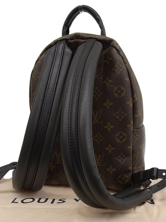 Louis Vuitton Monogram Palm Springs Backpack Rucksack Daypack main image 5